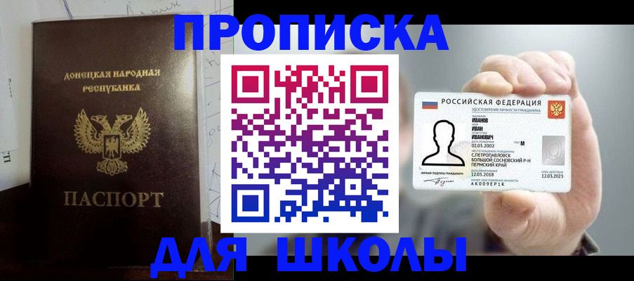 временная регистрация поиск в Камчатской области